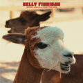 B-Sides, Singles & Forgotten Gems LP by Kelly Finnigan album artwork