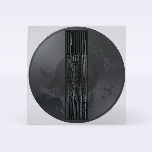 I Wander 12" by Djrum album artwork