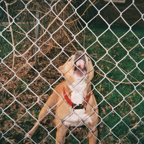 Pop Culture LP by Knocked Loose album artwork