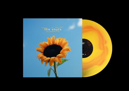 Joy in Short Moments LP by The Snuts album artwork