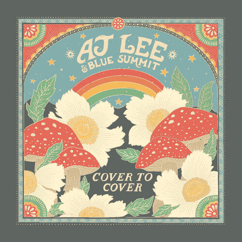Cover to Cover LP by AJ Lee album artwork