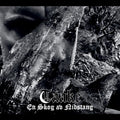 En Skog av Nidstang LP by Taake album artwork
