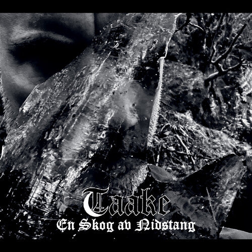 En Skog av Nidstang LP by Taake album artwork