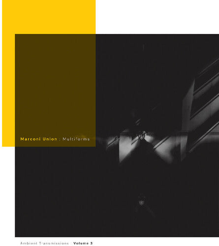 Multiforms: Ambient Transmissions Vol. 3 LP by Marconi Union album artwork