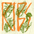 Cold Ribs LP by RIBS album artwork