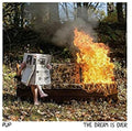 Dream Is Over LP by Pup album artwork
