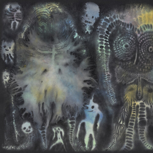 There Near CD by Dinosaur Jr album artwork