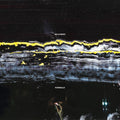 Pugnello LP by Gilla Band album artwork