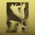 1983 LP by Lotus Flying album artwork