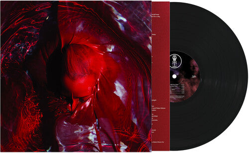 Not Here Not Gone LP by Blackwater Holylight album artwork