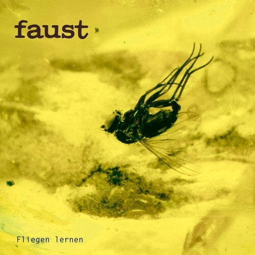 Fliegen Lernen LP by Faust album artwork