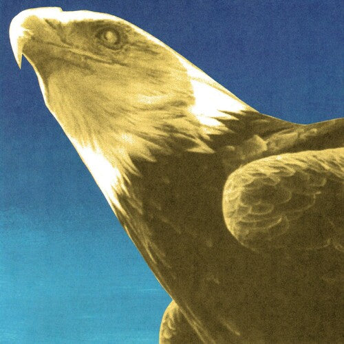 Hotel Usona LP by Protomartyr album artwork