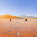 Insight Out 2LP by Praana album artwork