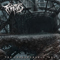 Irredeemable Age LP by Thaetas album artwork