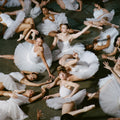 50 Ballerinas CD by Jigitz album artwork