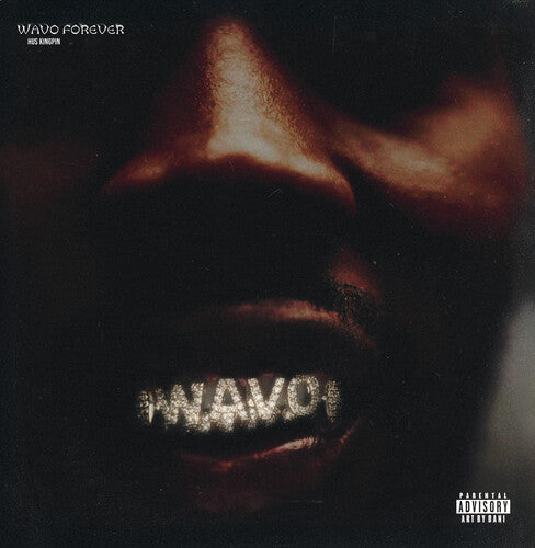 Wavo Forever LP by Hus Kingpin album artwork