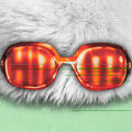 Hit It! LP by Vianova album artwork