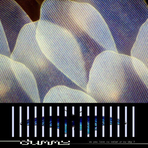 Do You Love the Color of the Sky? LP by Dummy album artwork