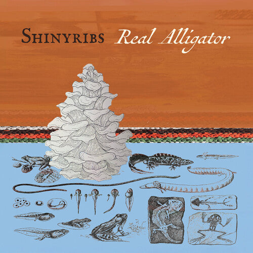Real Alligator LP by Shimyribs album artwork