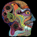 Cara Maluco 12" by Osees album artwork