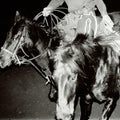 Heaven's Night LP by Holy Motors album artwork