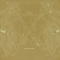 You Brainstorm, I Brainstorm, But Brilliance Needs a Good Editor LP by Manchester Orchestra album artwork