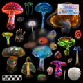 Tell It to the Mountain 2LP by Axel Boman album artwork