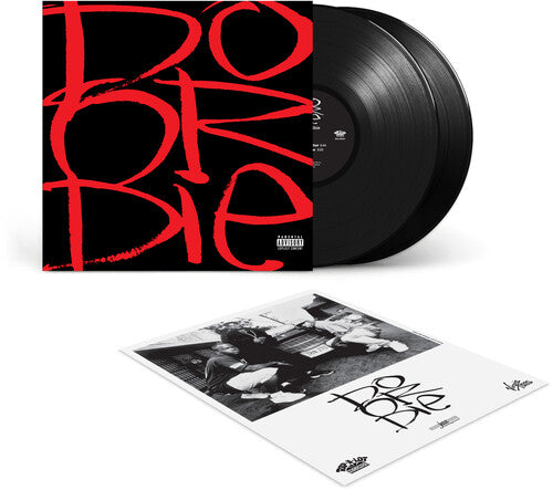 Picture This 2LP by Do or Die album artwork