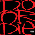 Picture This 2LP by Do or Die album artwork