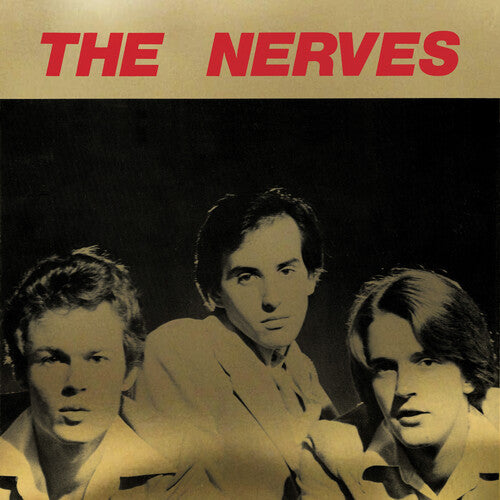 Best Collection 2LP by The Nerves album artwork