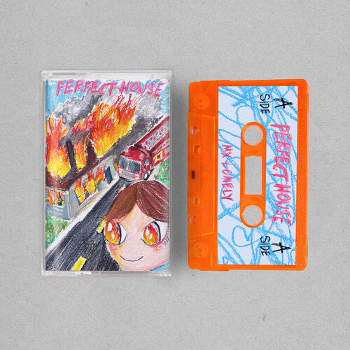 Perfect House CASSETTE by MX Lonely album artwork
