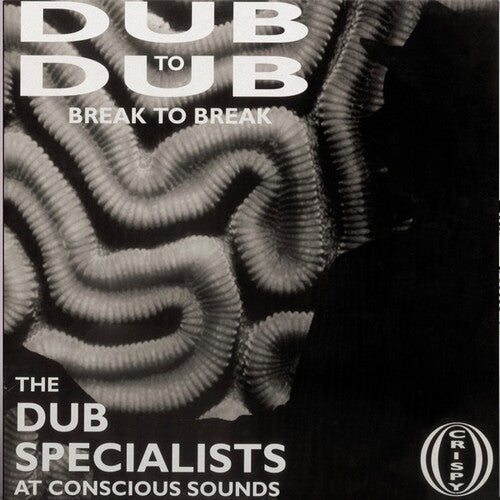 Dub to Dub Break to Break LP by Dub Specialists album artwork