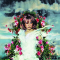 Dust Settles and So Will I LP by Susannah Joffe album artwork