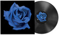 Rosebud LP by Current Joys album artwork