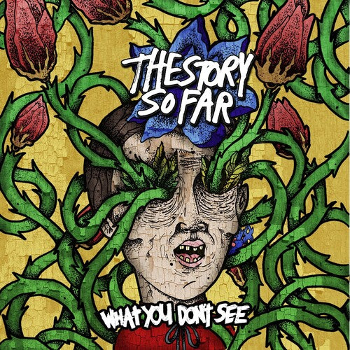 What You Don't See LP by The Story So Far album artwork