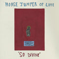 So Divine CASSETTE by Horse Jumper of Love album artwork