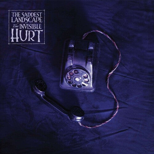 Invisible Hurt LP by Saddest Landscape album artwork