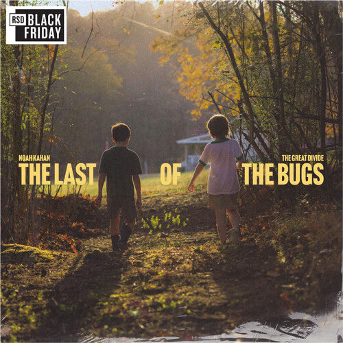 Great Divide: The Last of the Bugs EP by Noah Kahan album artwork