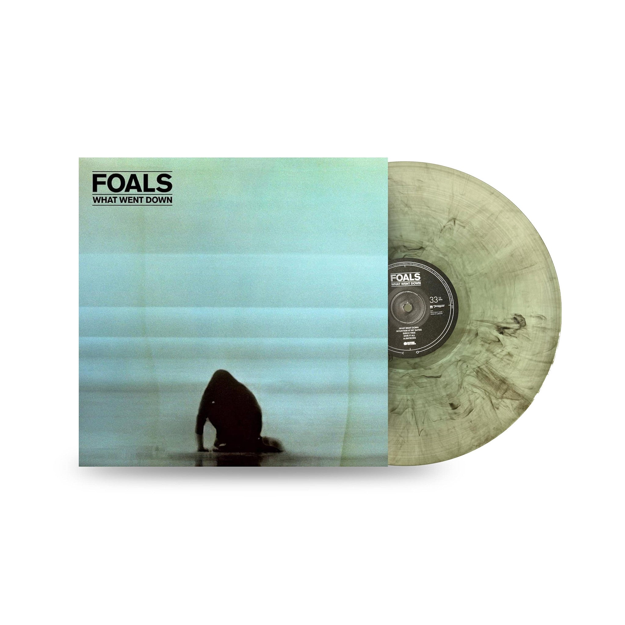What Went Down LP by Foals album artwork
