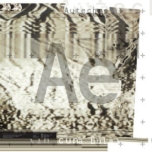 Incunabula LP by Autechre album artwork