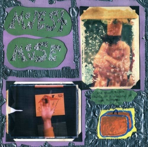 Sad Sappy Sucker LP by Modest Mouse album artwork