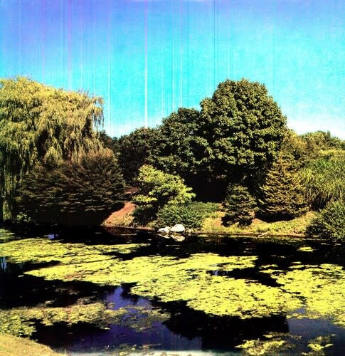 Terraform LP by Shellac album artwork