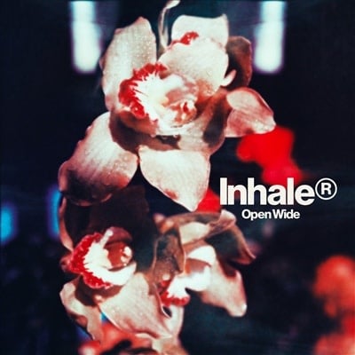 Open Wide LP by Inhaler album artwork
