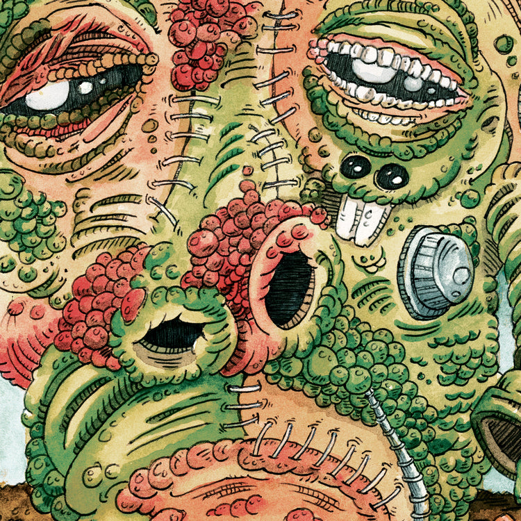 Shinola Vol. 2 CD by Ween album artwork