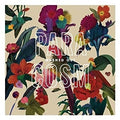 Para Cosm LP by Washed Out album artwork