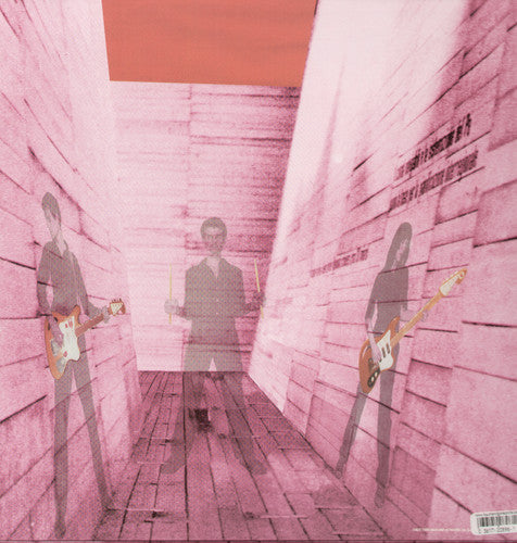 In an Expression of the Inexpressible LP by Blonde Redhead album artwork