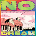 No Dream (green vinyl) LP by Jeff Rosenstock album artwork