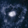 My Father Will Lead me up a Rope to the Sky LP by Swans album artwork