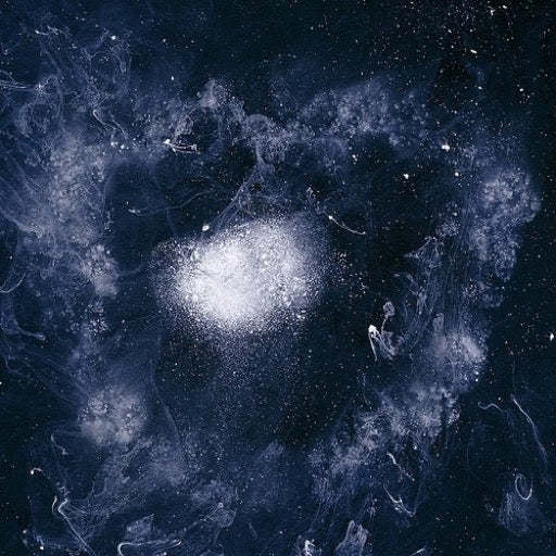 My Father Will Lead me up a Rope to the Sky LP by Swans album artwork