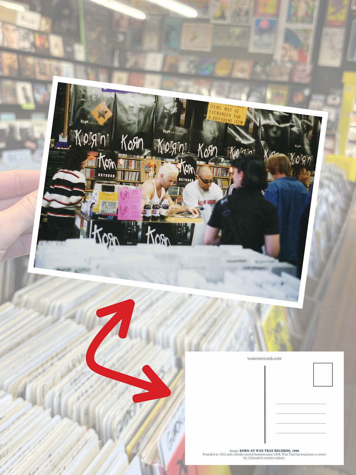 Wax Trax Postcard #7 Korn at Capitol Hill by Wax Trax Postcard #7 Korn at Capitol Hill album artwork